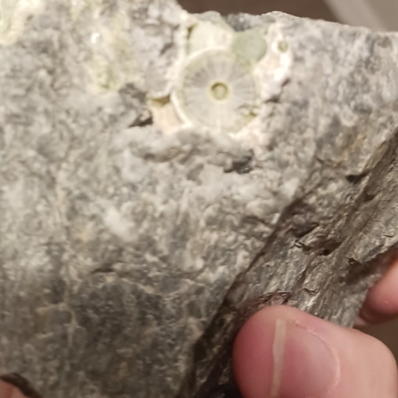 Smokey gray quartz, this is originally from Arkansas near Mount Ida. - Picture 12 of 16